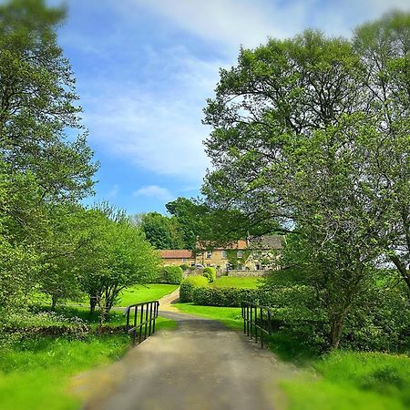 Old Orchard Cottage, Wykeham Scarborough Buitenkant foto